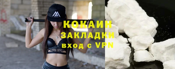 мяу мяу мука Белокуриха