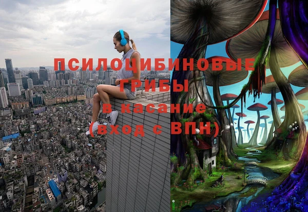мяу мяу мука Белокуриха