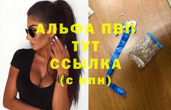 мяу мяу мука Белокуриха