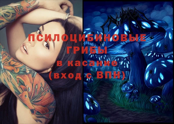 мяу мяу мука Белокуриха