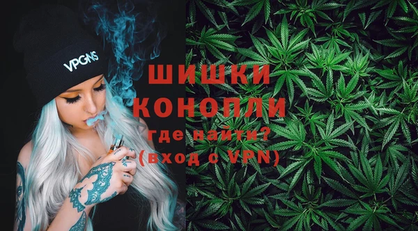 мяу мяу мука Белокуриха