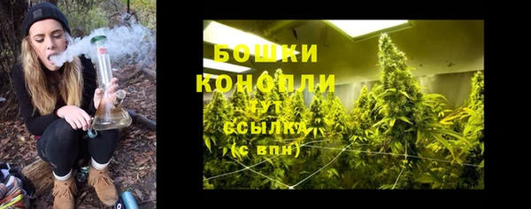 мяу мяу мука Белокуриха