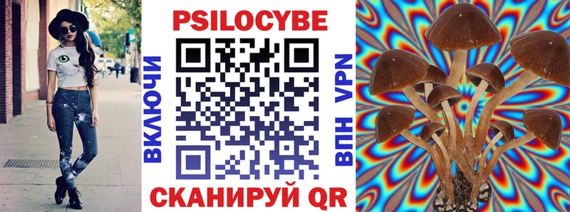 магазин hydra ONION Псилоцибиновые грибы Psilocybine cubensis Чаплыгин