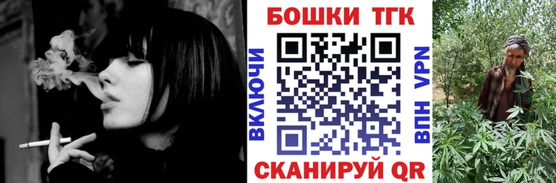 Бошки Шишки ГИДРОПОН  купить наркоту  Чаплыгин 